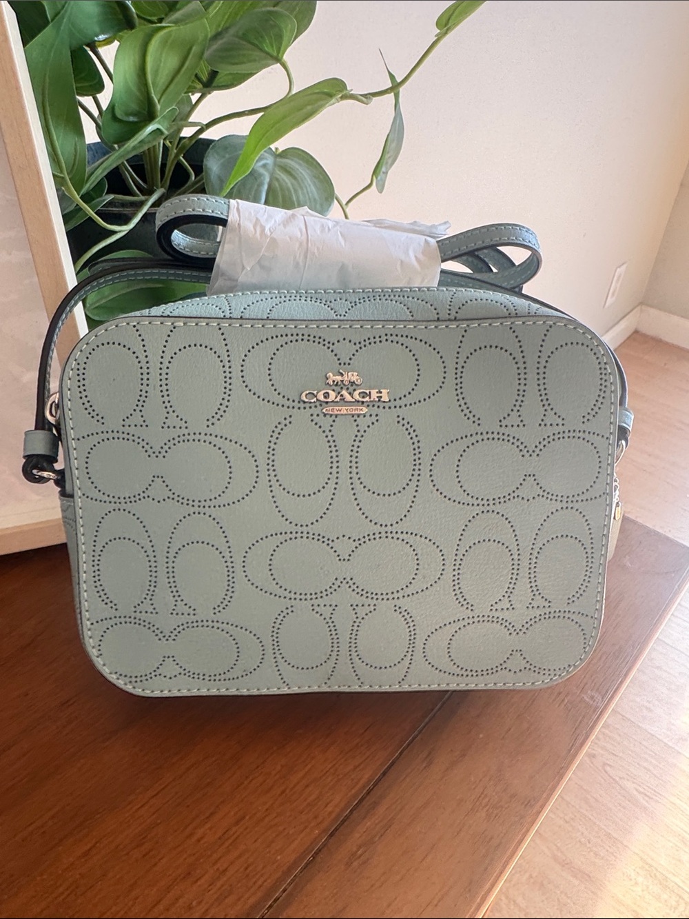 Coach Women's Robins Egg Blue Perforated Camera Crossbody Bag